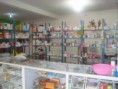 /album/fotogaleria-veterinaria/dsc05598-jpg/